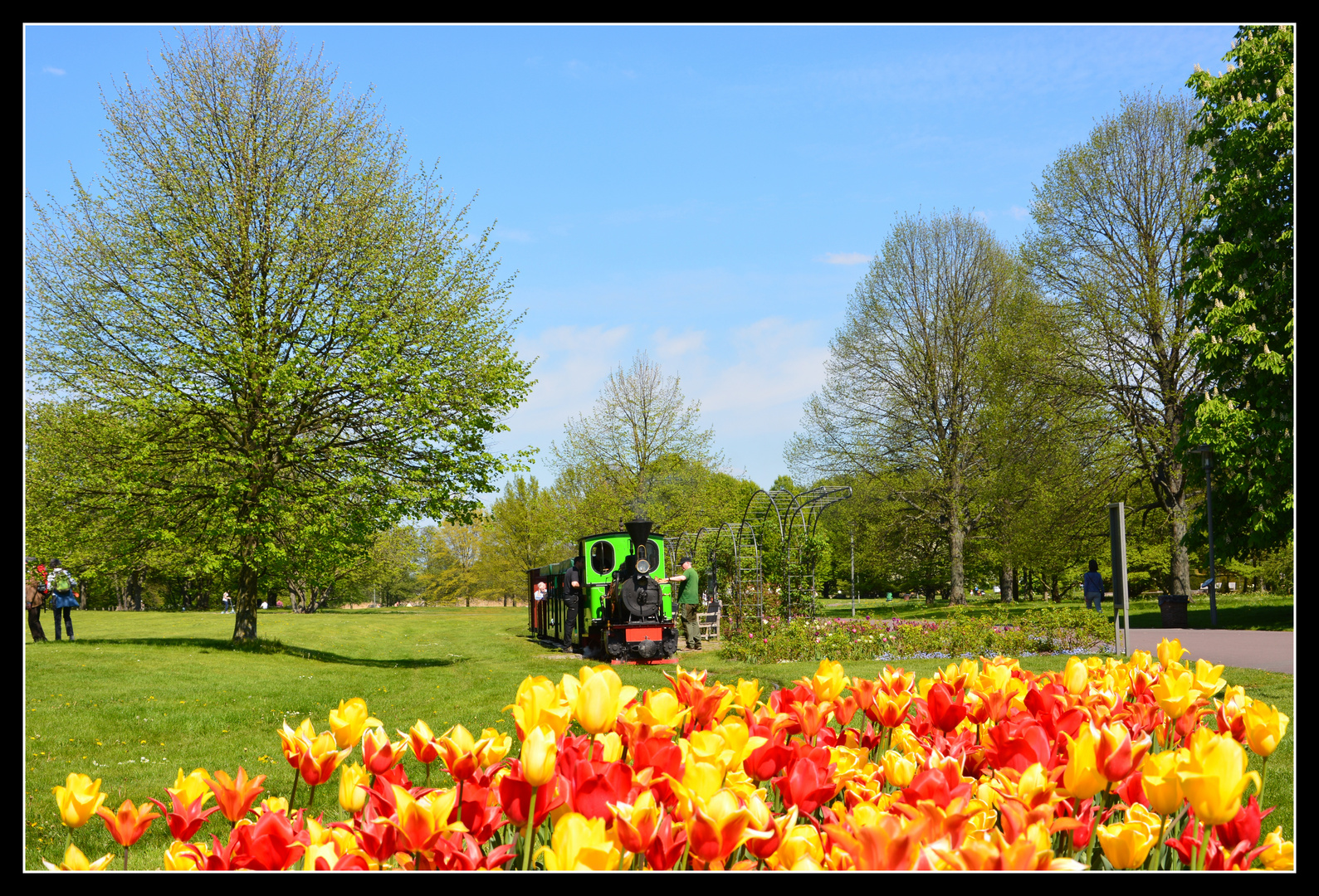 Britzer Garten 1 Foto & Bild schmalspurbahnen, tulpen, berlin Bilder