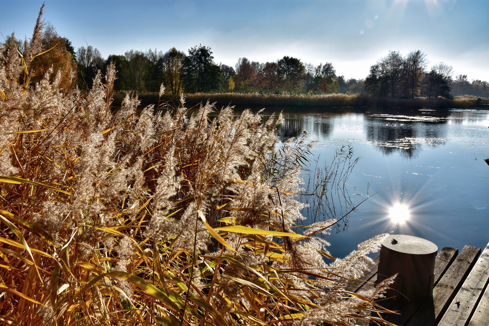 Britzer Garten