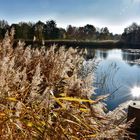 Britzer Garten