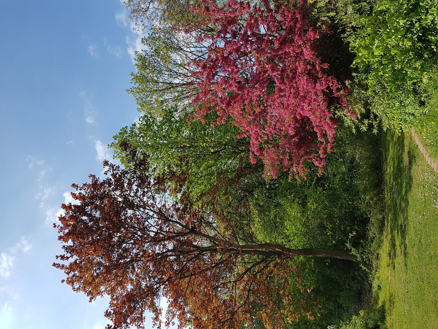 Britzer Garten Foto & Bild landschaft, einfach nur schön, 03.mai 2022