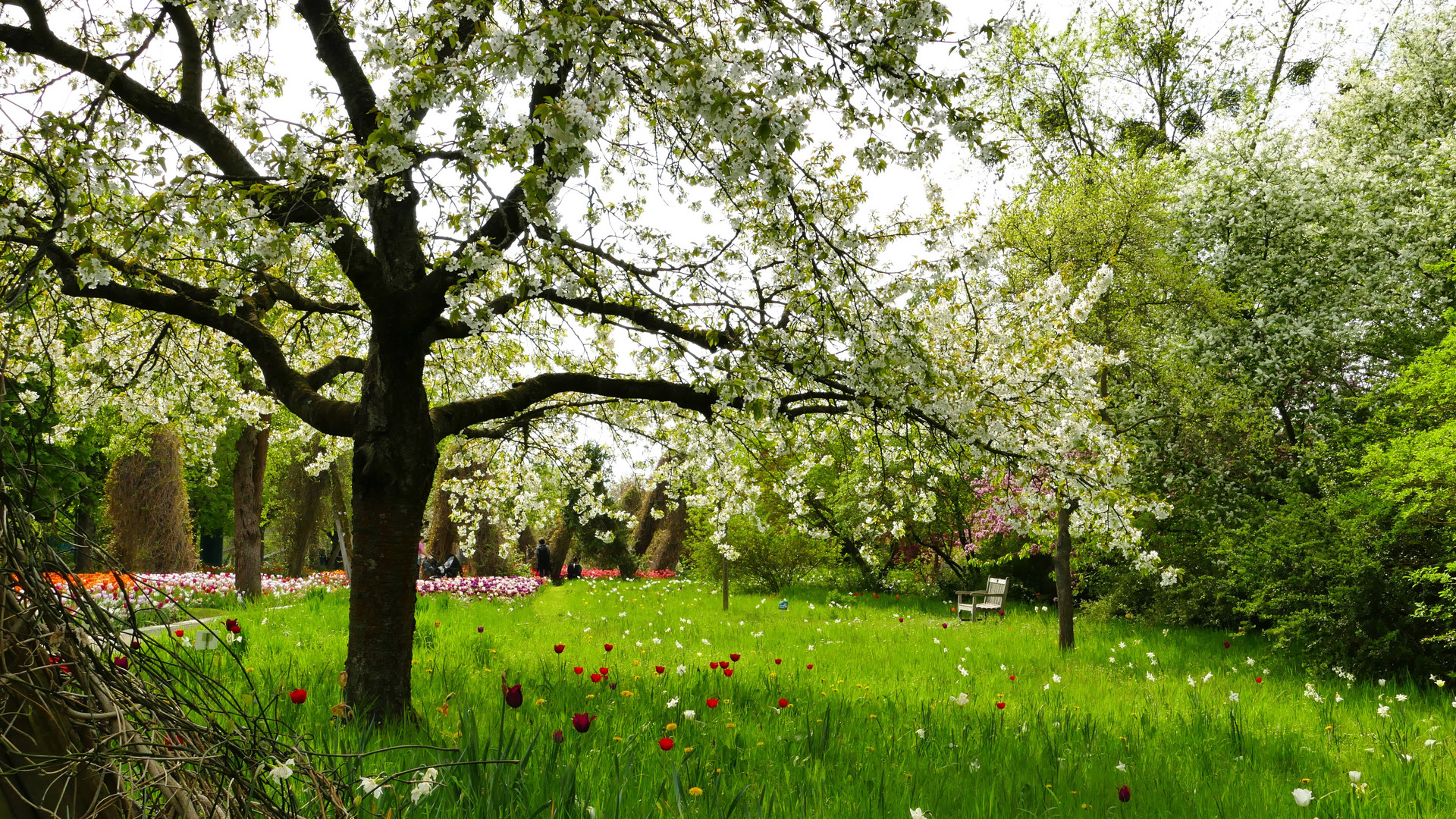 Britzer Garten