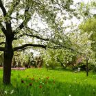 Britzer Garten