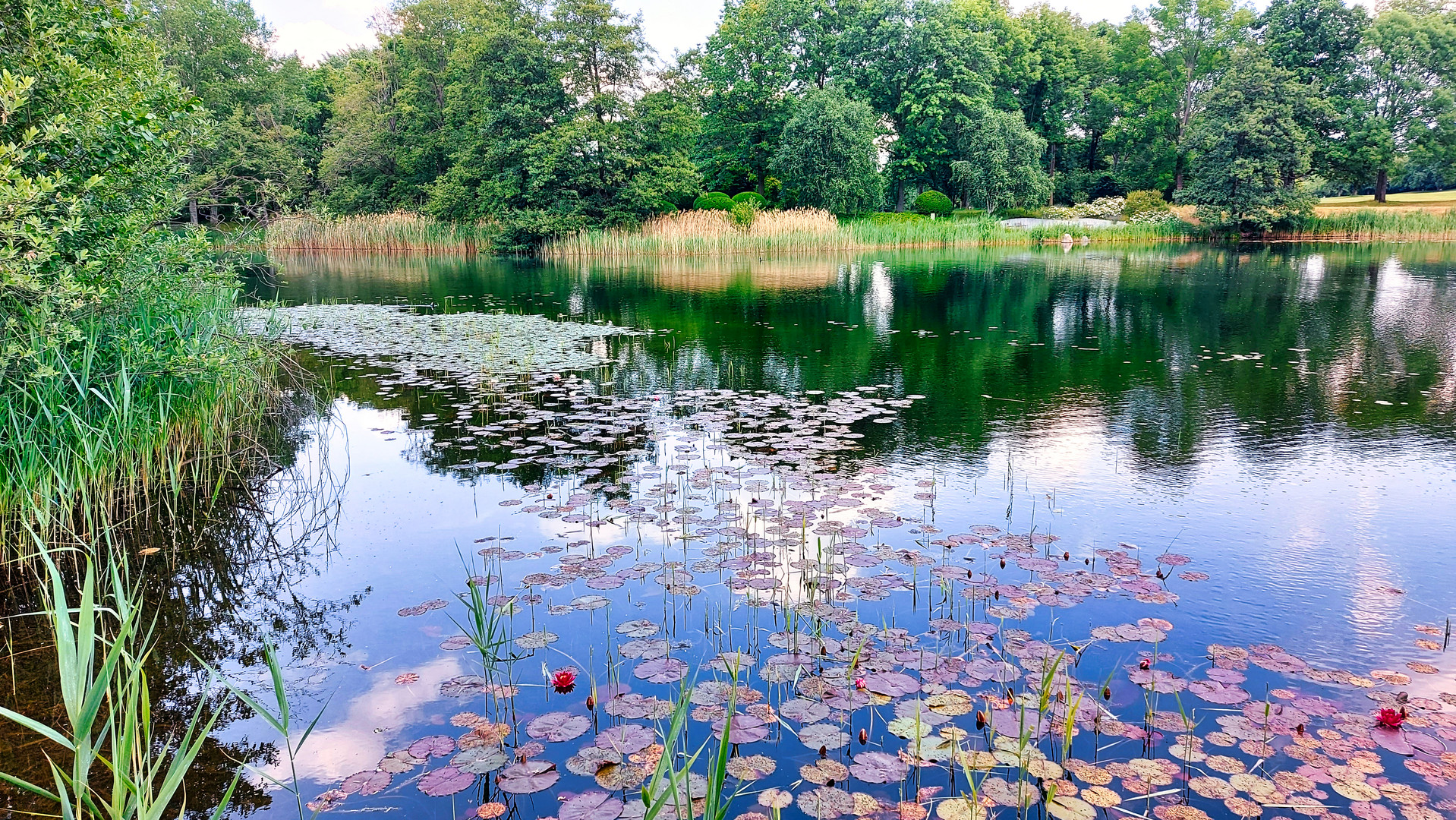 Britzer Garten