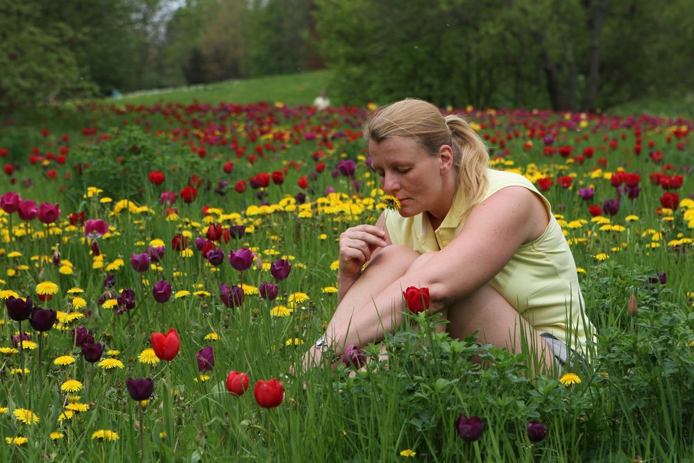 Britzer Garten