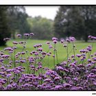 Britzer Garten (Berlin) 3