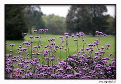 Britzer Garten (Berlin) 3