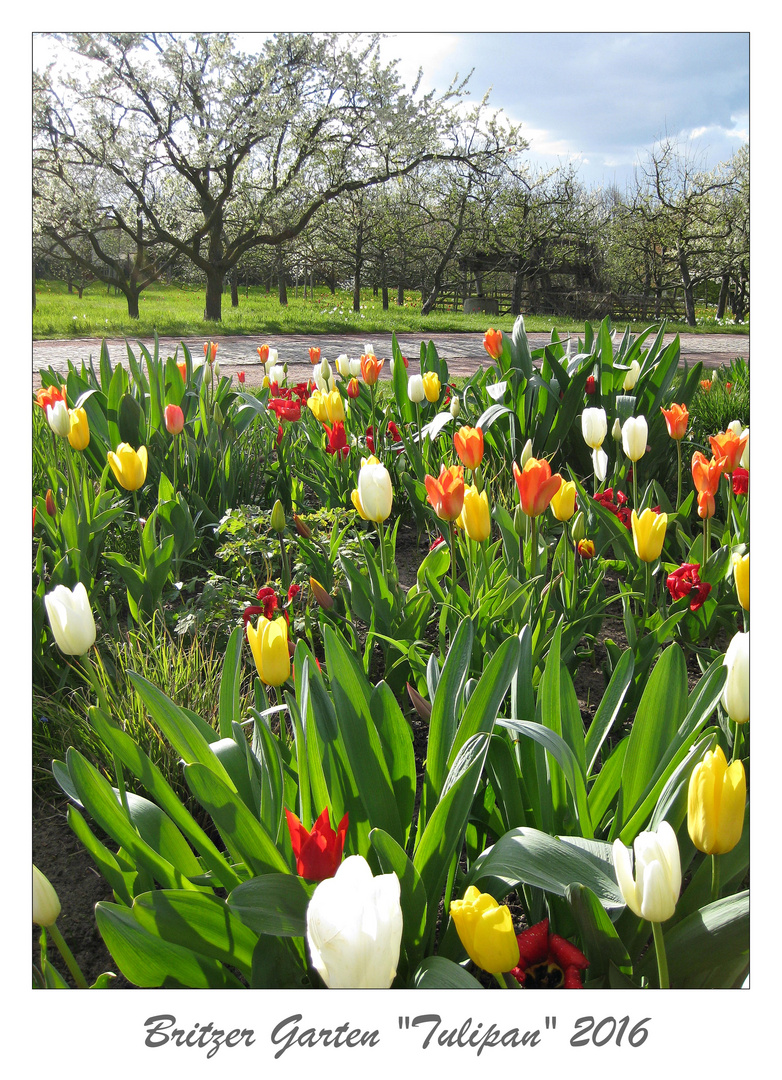 Britzer Garten - Berlin