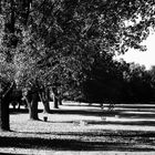 Britzer Garten, Berlin