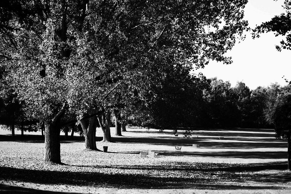 Britzer Garten, Berlin von Michael-Janda 