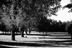 Britzer Garten, Berlin