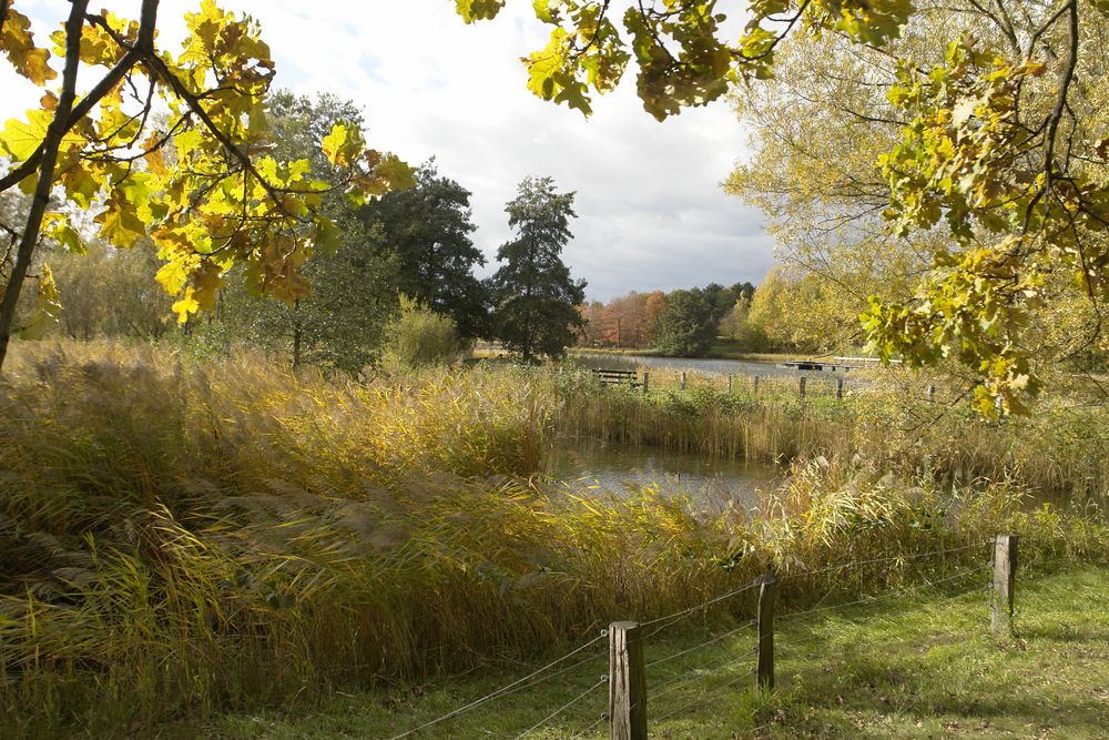 Britzer Garten (Berlin) Foto & Bild jahreszeiten, herbst, berlin