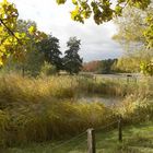 Britzer Garten (Berlin)