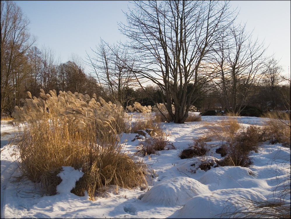 Britzer Garten, Berlin (ehem. BuGa)