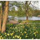 Britzer Garten- Berlin V