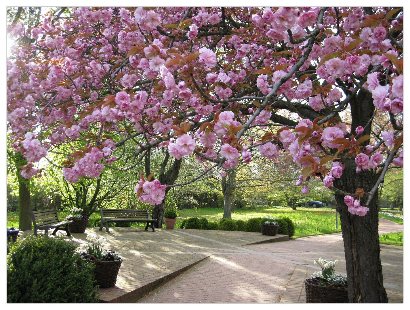 Britzer Garten- Berlin VI