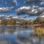 Britzer Garten im Herbst (3)