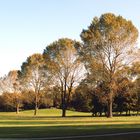 Britzer Garten in Berlin