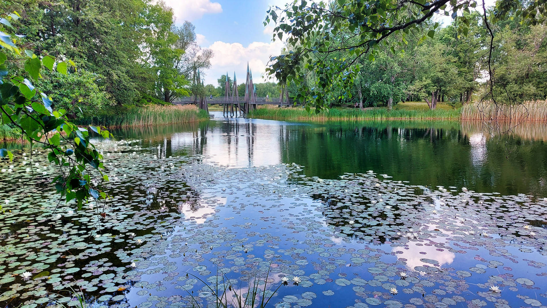 Britzer Garten mit Brücke