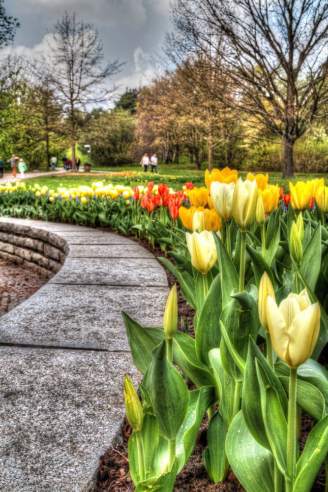 Britzer Garten Teil 2 Foto &amp; Bild landschaft, tulpen