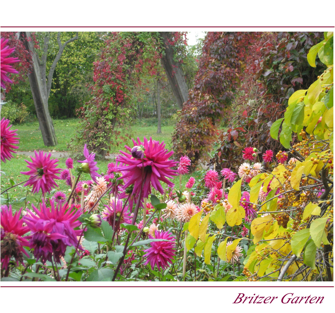 Britzer Garten XII