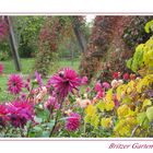 Britzer Garten XII