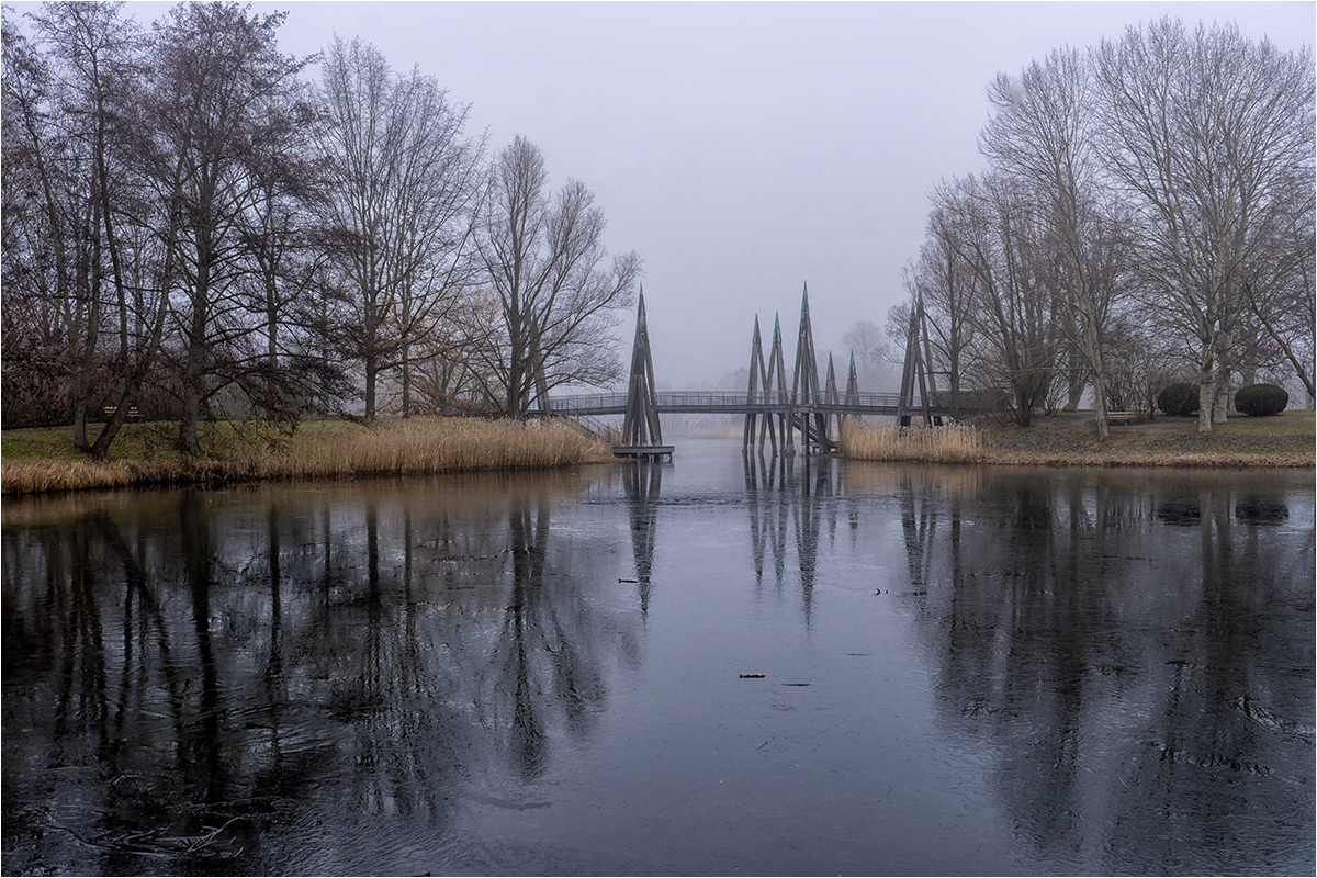 BritzerNebelWinterGarten Foto & Bild landschaft, garten