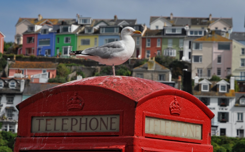 Brixham Hafen