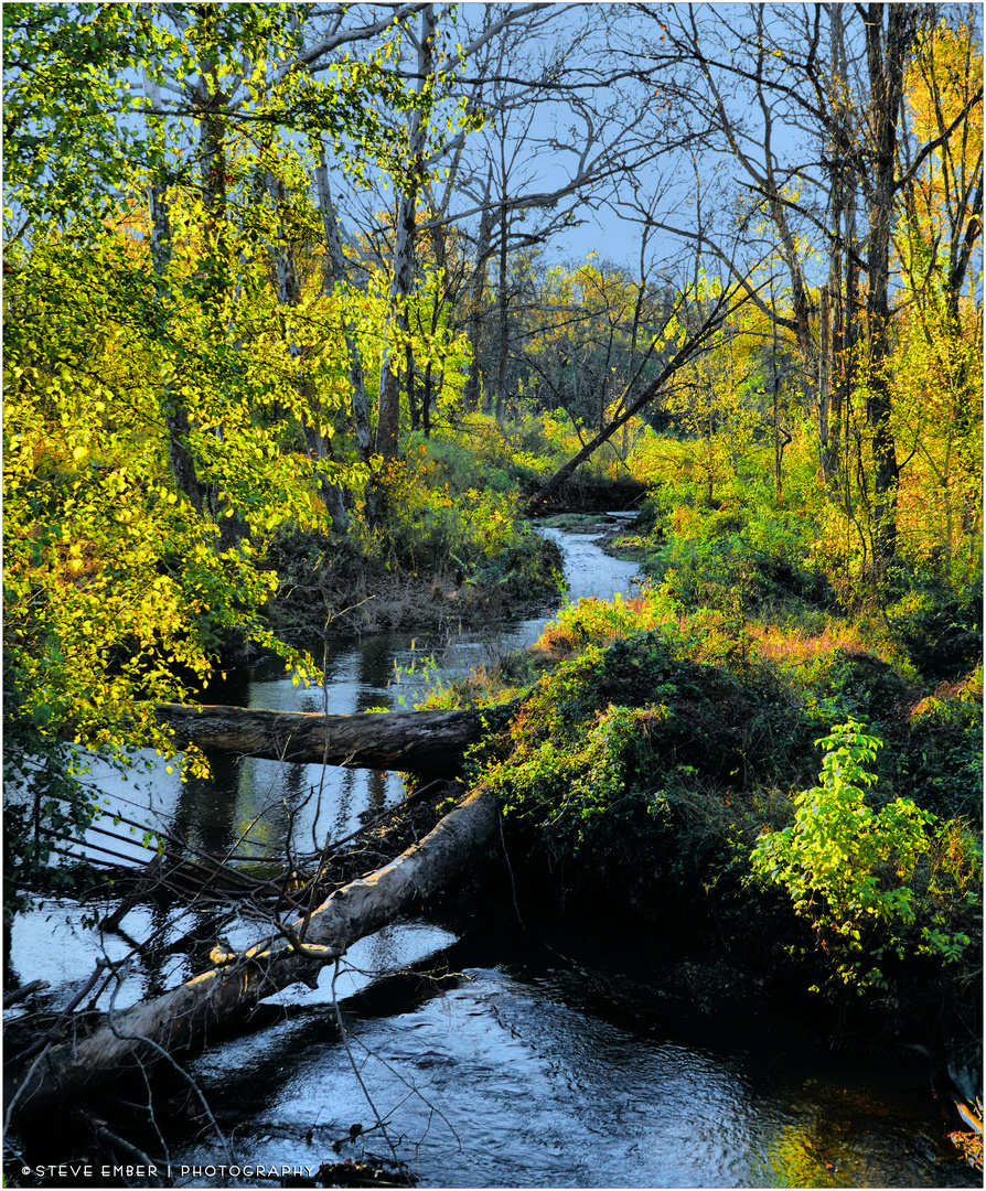 Broad Run from 'Autumn in the Piedmont'