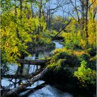 Broad Run from 'Autumn in the Piedmont'