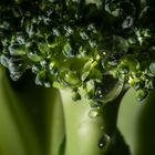 Broccoli-Regenwald