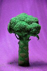 broccoli tree