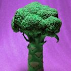 broccoli tree