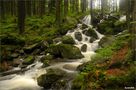 Brocéliande by Lancelot de La Flaque 