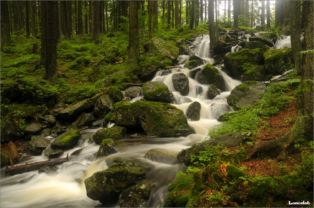 Brocéliande