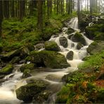 Brocéliande