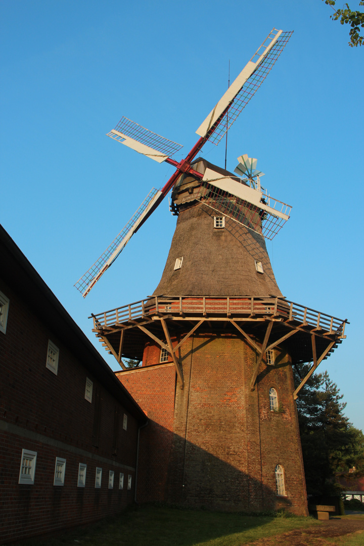 Brockeler Mühle (1)