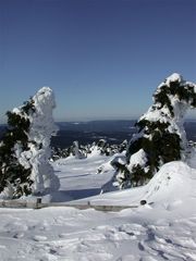 Brocken 04