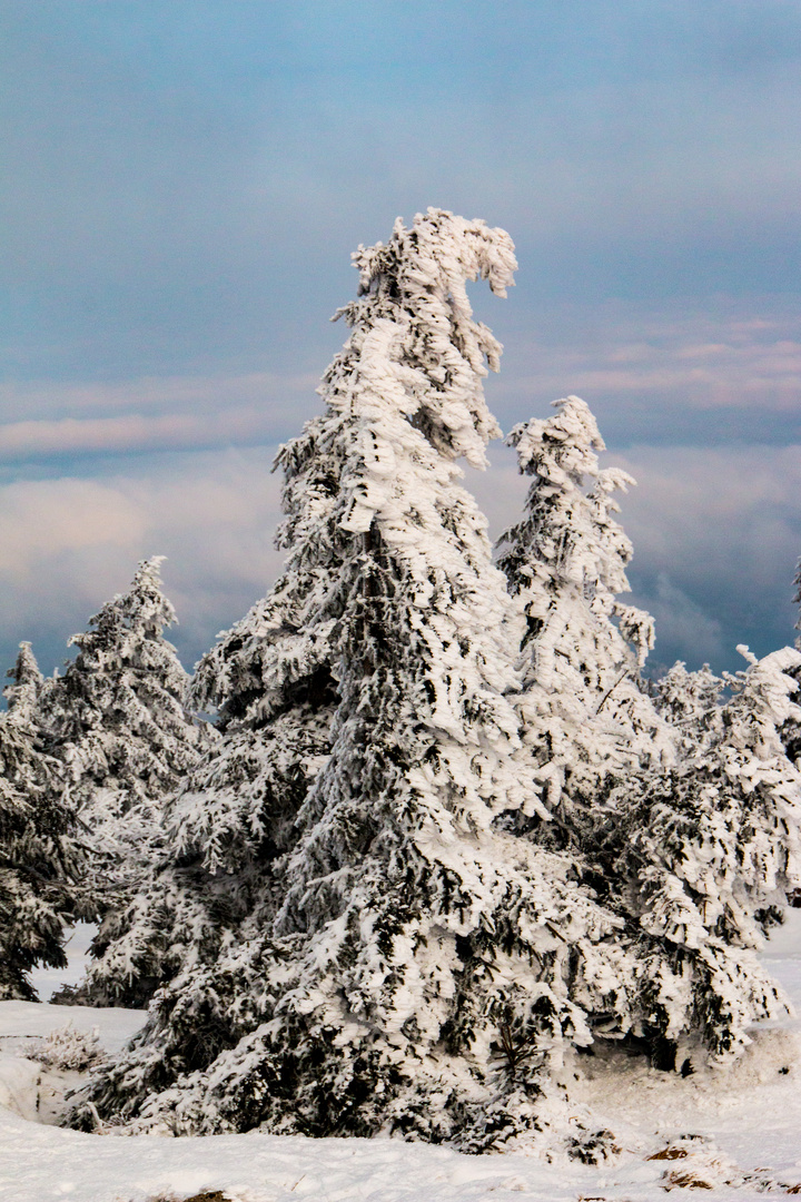 Brocken 1