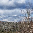 Brocken-"Blick"