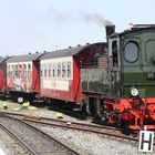 Brocken Dampflok 99 5902 mit Zug 04.2011