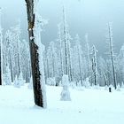 Brocken - eine Mondlandschaft zum Ende des Winters ...