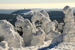 Brocken - Elfenwald