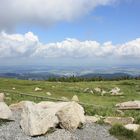 BROCKEN HARZ