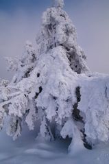 Brocken Harz II