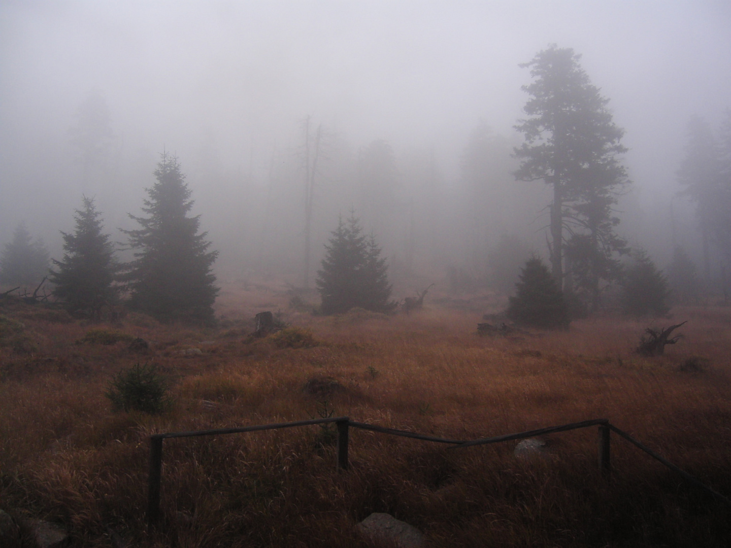 Brocken im Nebel