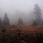 Brocken im Nebel