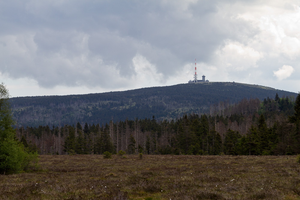 "Brocken im Nebel"