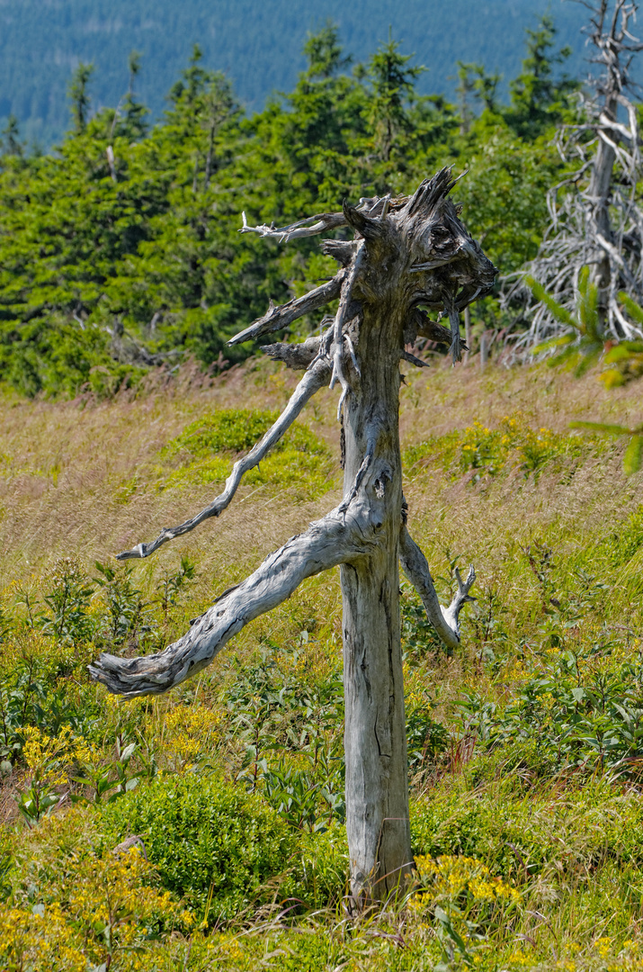 Brocken: Trugbilder