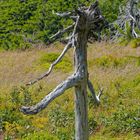 Brocken: Trugbilder