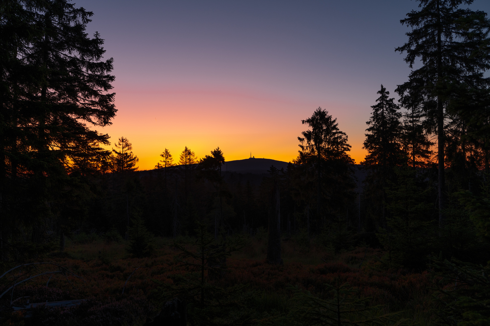 Brocken vom Sonnenberger Flutgraben (1)